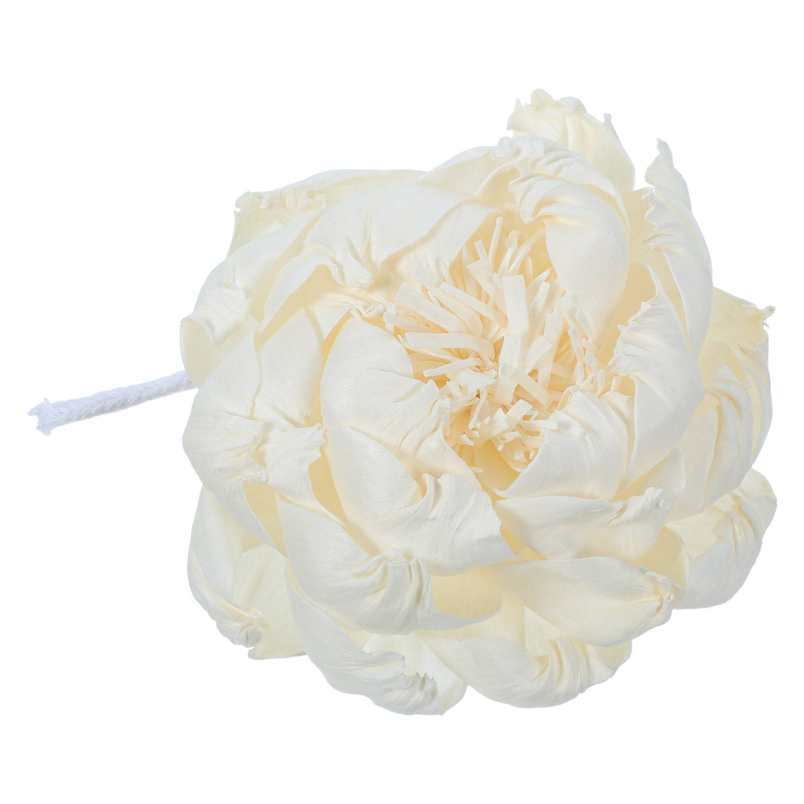 Ароматический диффузор в виде  – обзор и цена Home Fragrance Oils